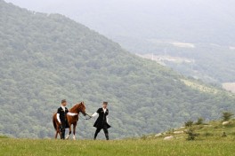 Garabagh Horse gifted to the President of Turkmenistan