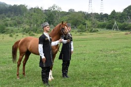 Garabagh Horse gifted to the President of Turkmenistan