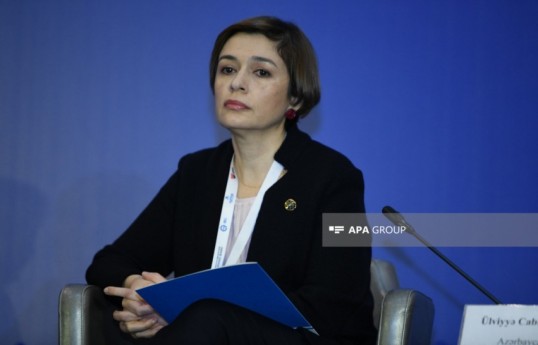 Chairperson of the Supervisory Board of the Azerbaijan Insurers Association Ulviyya Jabbarova