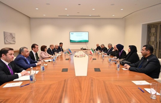 Sahiba Gafarova meets Speaker of Iran's Parliament