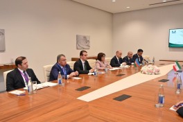 Sahiba Gafarova meets Speaker of Iran's Parliament