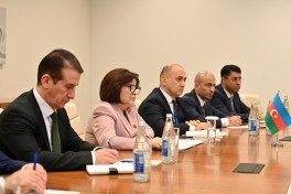 Sahiba Gafarova meets Speaker of Iran's Parliament
