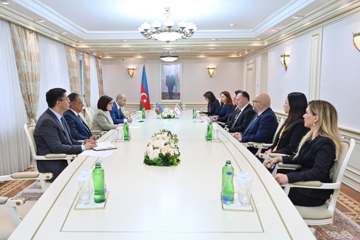Ziya Öztürkler praises Azerbaijan