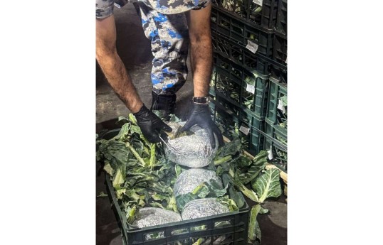 More than 90 kg of marijuana found in truck carrying cauliflower from Iran to Russia - PHOTO 