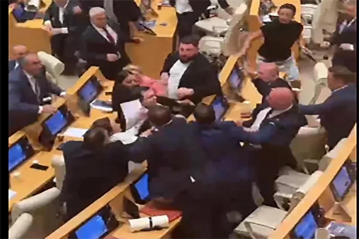 Scuffle breaks out during Georgian parliament session, proceedings suspended - <span class="red_color">PHOTO