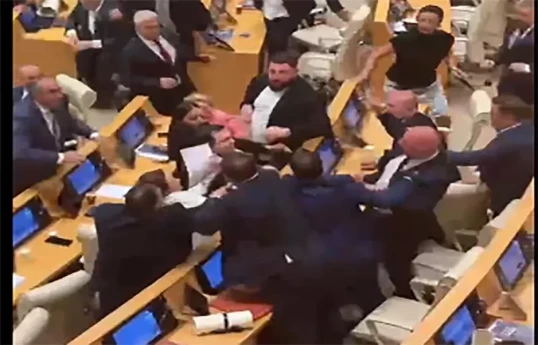 Scuffle breaks out during Georgian parliament session, proceedings suspended - PHOTO 