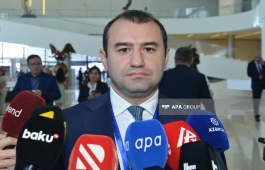 Deputy Minister of Culture Farid Jafarov