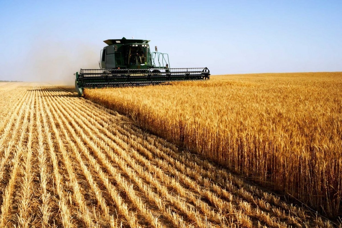 Nearly 2 billion manats to be allocated for financing the State Program on Agriculture through 2030