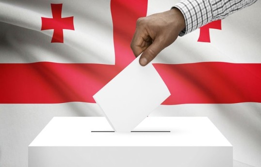 Georgia to register only foreign citizens over 18 as international election observers