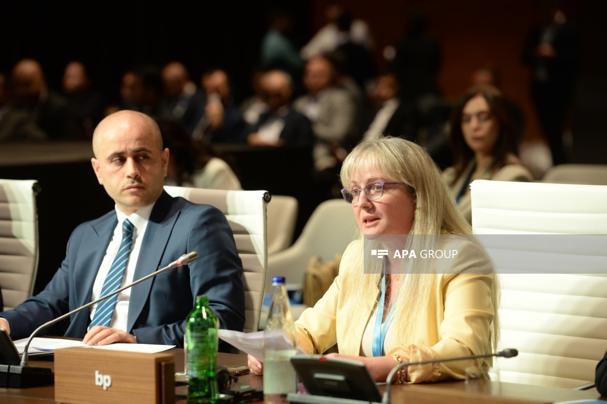 BP announces plans in Azerbaijan’s green energy sector