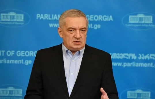 First Vice Speaker of the Georgian Parliament Gia Volski