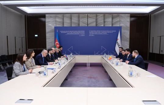 SOCAR and Moldova’s energy companies discussed expansion of cooperation between