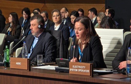 12 bcm of gas supplied to the EU last year, says AGSC Chief Executive Officer