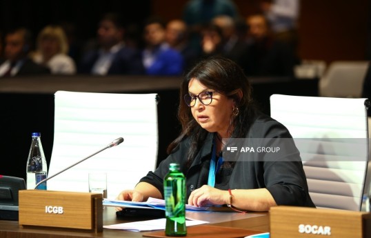 Maya Hristova, Executive Director of ICGB AD