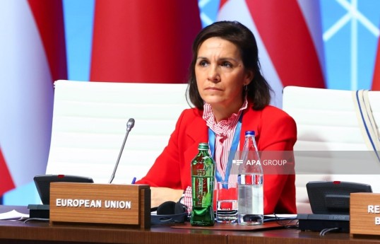  Cristina Lobillo Borrero, director of the Task Force for the Energy Platform and International Relations of the Directorate-General for Energy of the European Commission