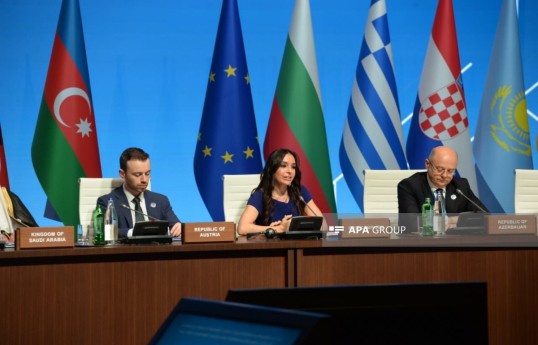 Leyla Aliyeva: If the Caspian is in a difficult situation, it means the global ecosystem is also under threat