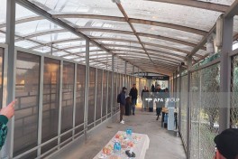 Chinese and Italian citizens evacuated from Iran via Azerbaijan border - PHOTO 