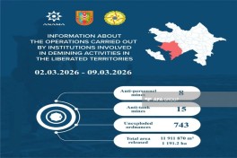Azerbaijan's ANAMA discovers 23 more landmines, 743 UXOs in liberated territories