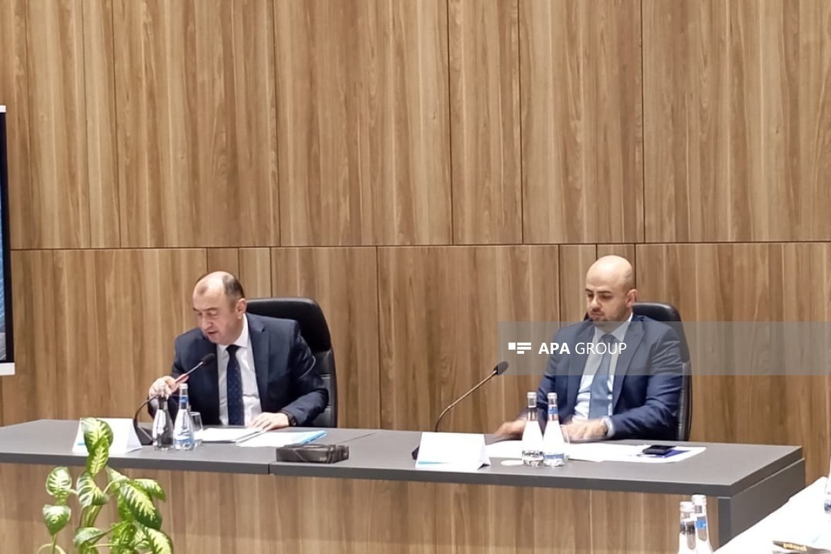 Vahid Hajiyev: Trees in construction areas complicate design work in liberated territories