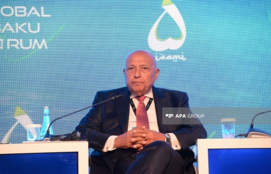 Sameh Shoukry, former Foreign Minister of Egypt and President of COP27
