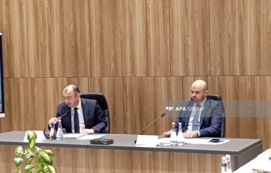Vahid Hajiyev: Trees in construction areas complicate design work in liberated territories