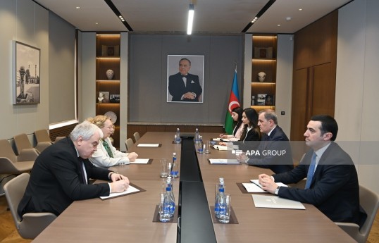 Azerbaijan FM meets Director-General of the UN Office in Geneva