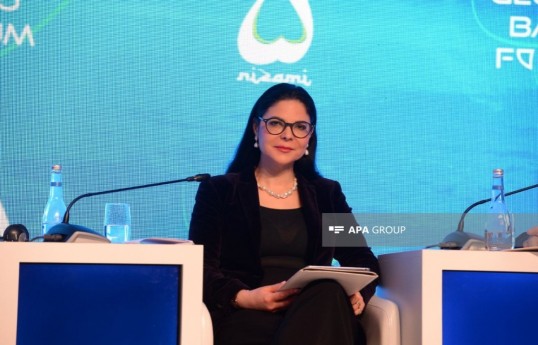 Former Deputy Prime Minister and Minister of Justice of Romania Ana Birchall