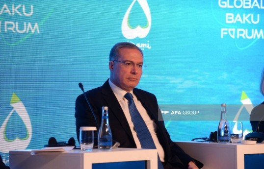 Assistant to the President of Azerbaijan and Head of the Economic Affairs and Innovative Development Policy Department of the Presidential Administration, Shahmar Movsumov