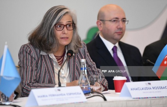 Executive Director of the United Nations Human Settlements Programme (UN-Habitat) Anacláudia Rossbach
