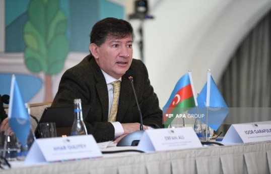 Interim UN Resident Coordinator in Azerbaijan Igor Garafulić