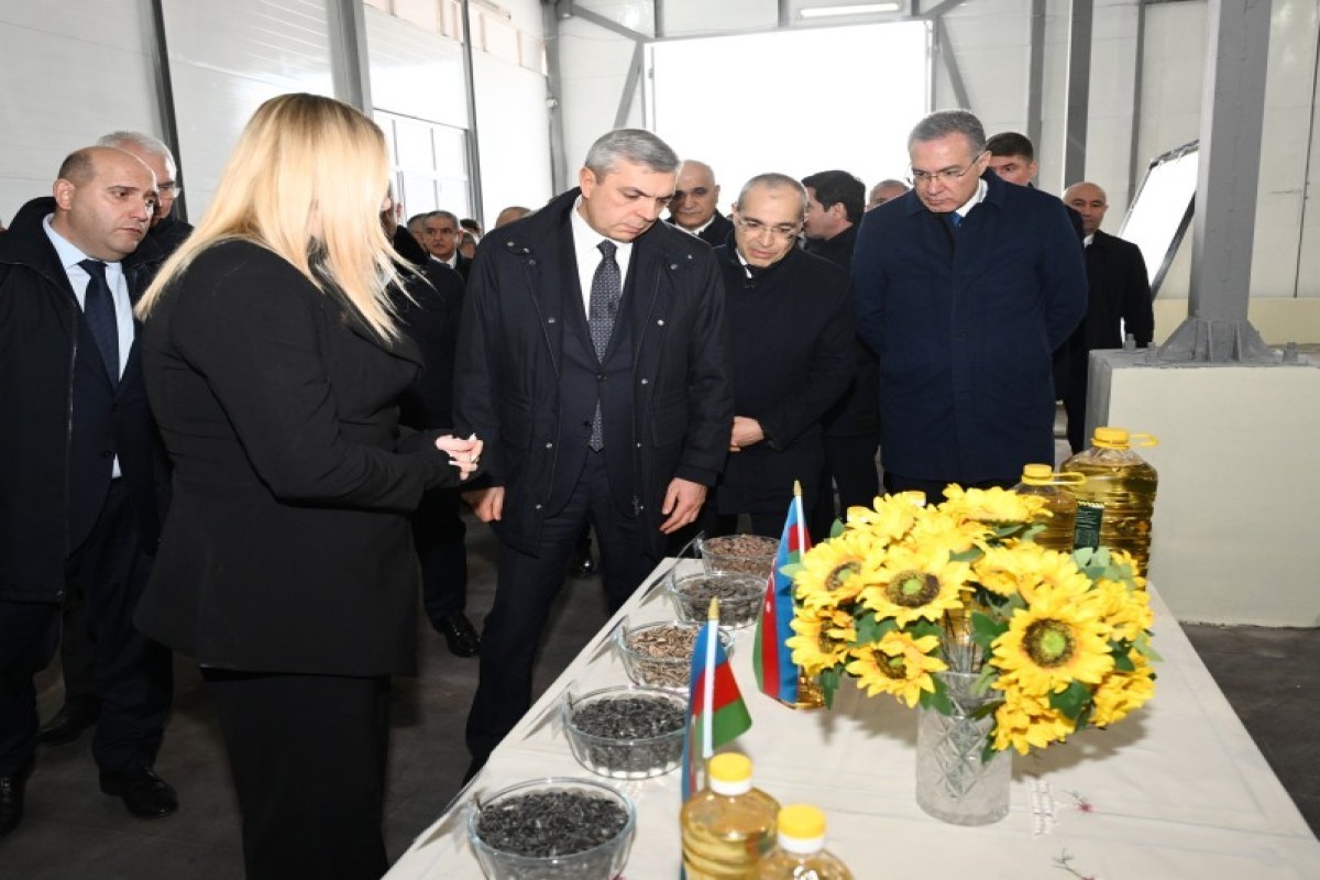 Coordination Headquarters members view sunflower oil plant in Girmizi Bazar settlement
