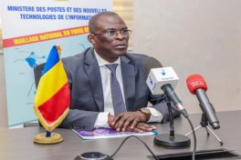IDDA delegation discusses digital development cooperation in Chad