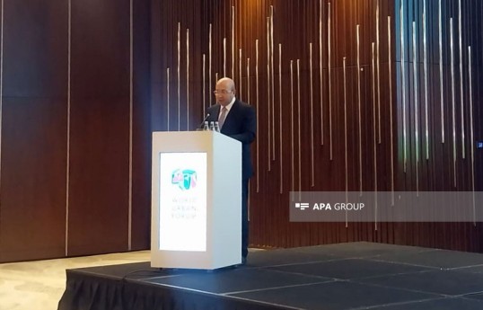 Anar Guliyev, Chairman of the State Committee for Urban Planning and Architecture and National Coordinator of WUF13