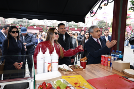 Alena Aliyeva visits Novruz fair