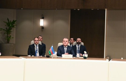 Azerbaijani FM: Continued targeting of regional states undermining long-term stability