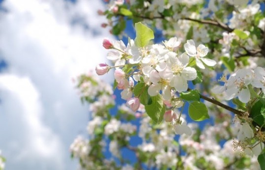 Spring arrives in Azerbaijan