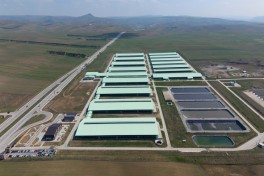 President Ilham Aliyev attended opening of “Shirvan Agro” livestock complex in Shamakhi