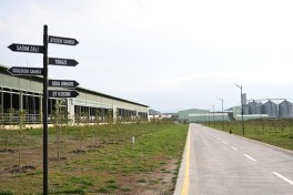 President Ilham Aliyev attended opening of “Shirvan Agro” livestock complex in Shamakhi