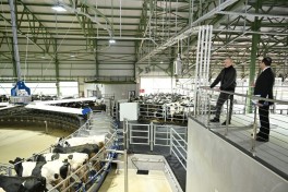 President Ilham Aliyev attended opening of “Shirvan Agro” livestock complex in Shamakhi