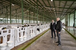 President Ilham Aliyev attended opening of “Shirvan Agro” livestock complex in Shamakhi