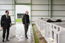 President Ilham Aliyev attended opening of “Shirvan Agro” livestock complex in Shamakhi