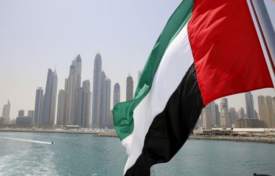 UAE says it would take part in force to open Strait of Hormuz — report