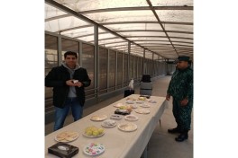 3,040 people evacuated from Iran to Azerbaijan over past month
