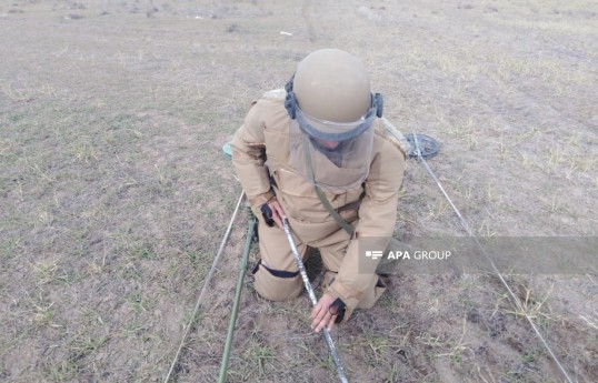 Azerbaijan establishes scholarship for families of deminers killed in explosions