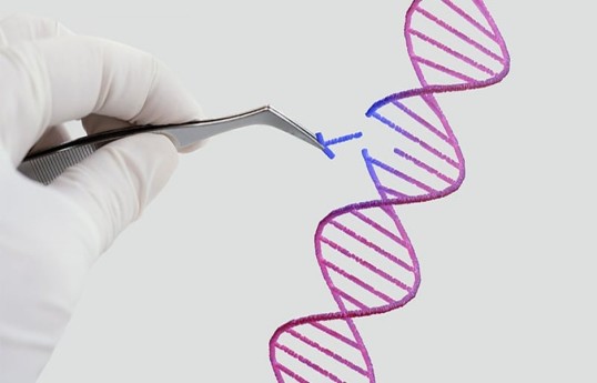 Azerbaijan bans patent recognition for human clones and cloning methods