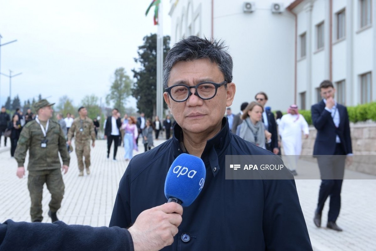 Indonesian Ambassador to Azerbaijan Berlian Helmy