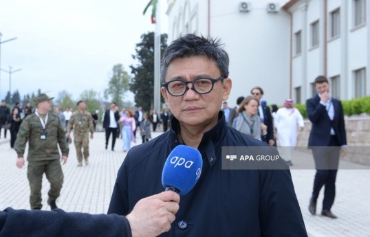 Indonesian Ambassador to Azerbaijan Berlian Helmy
