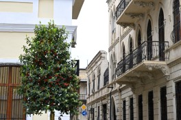 President Ilham Aliyev attended inauguration of Islam Safarli Street following reconstruction