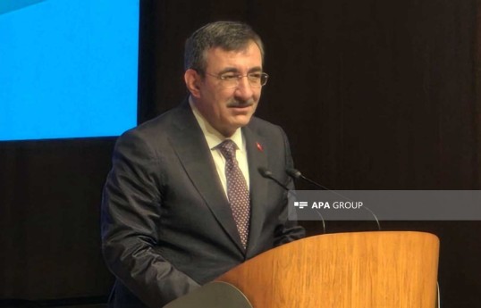 Cevdet Yılmaz, Vice President of the Republic of Türkiye