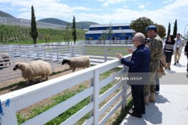 Representatives of diplomatic corps got acquainted with production facilities in Lachin -PHOTO 